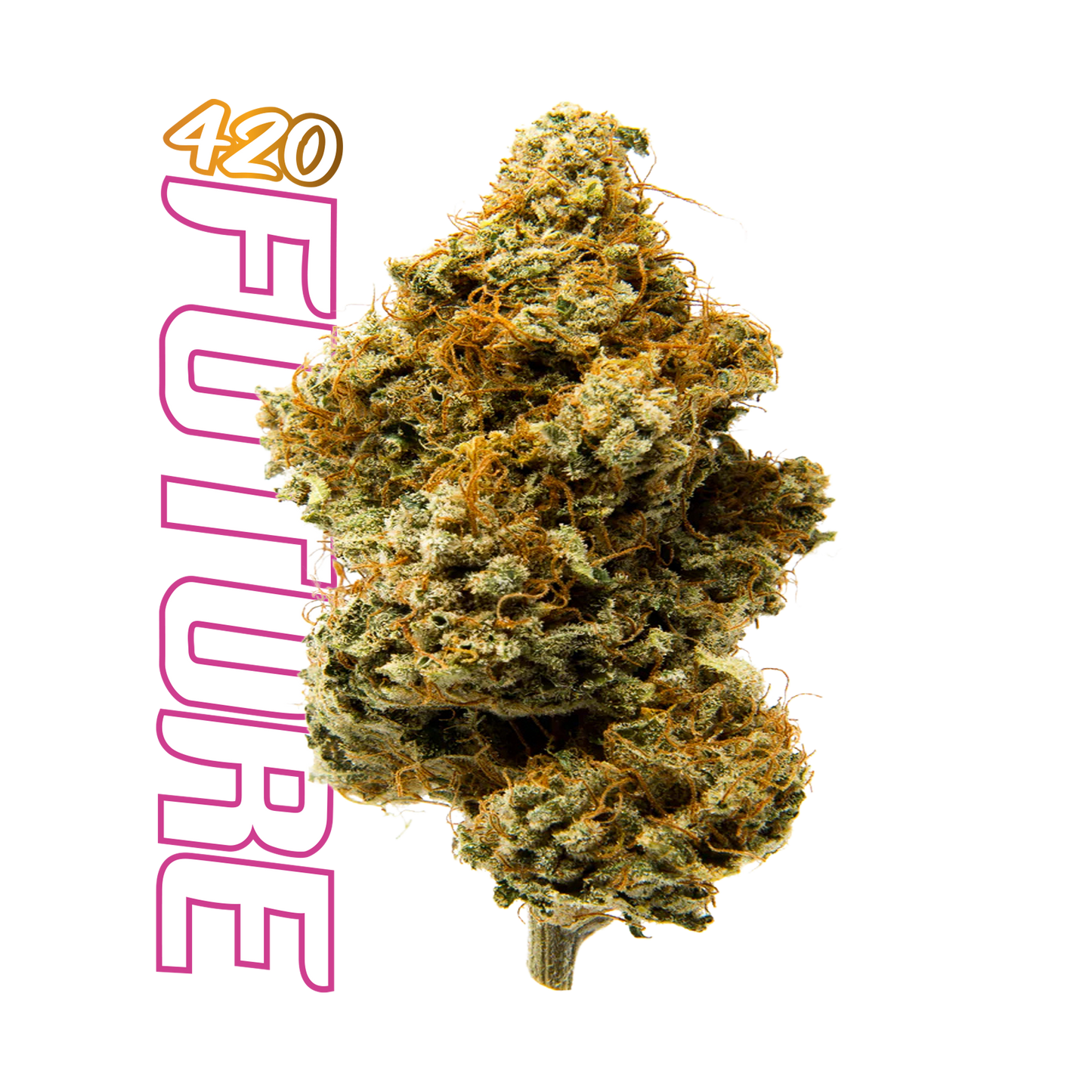 Runtz Flower (Sativa) – 3.5 Grams Live Resin
