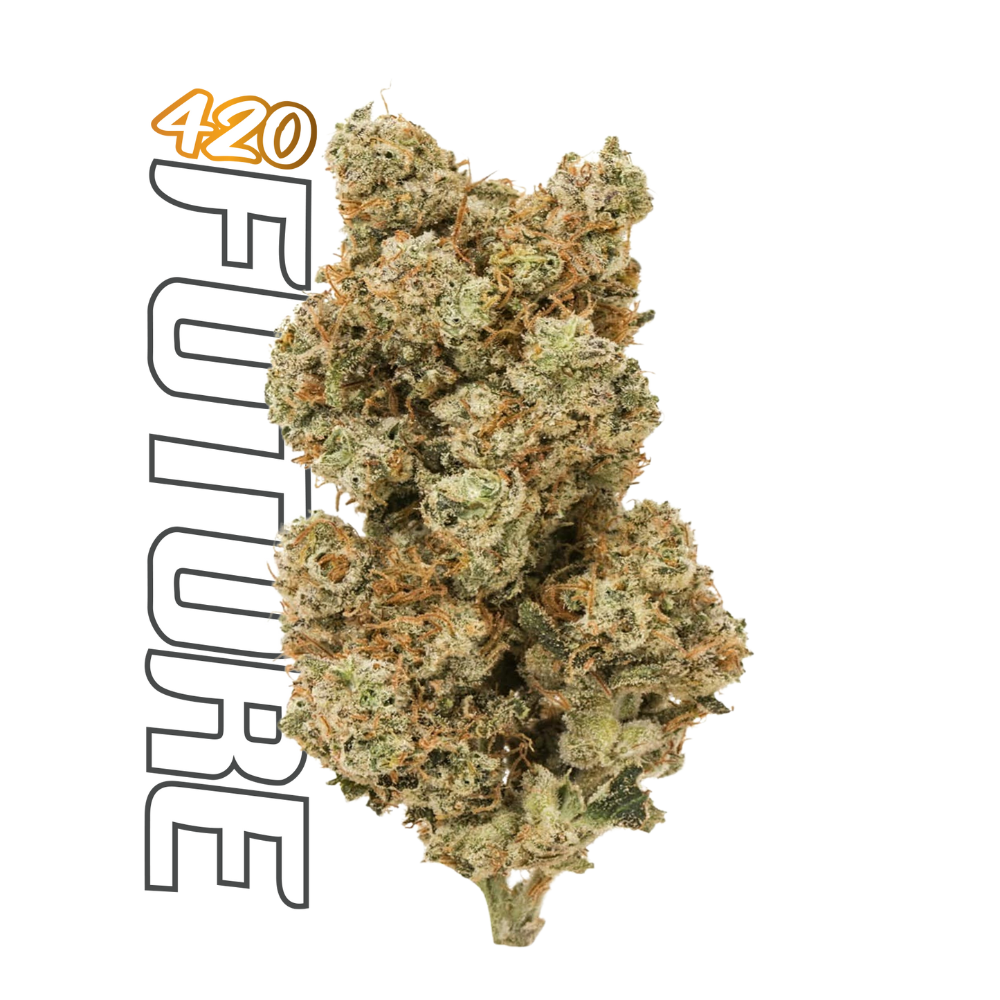 White Widow Flower (Hybrid) – 3.5 Grams Live Resin
